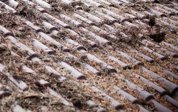 Llangoedmor roof cleaning companies